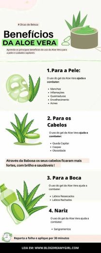Benefícios da Aloe vera
