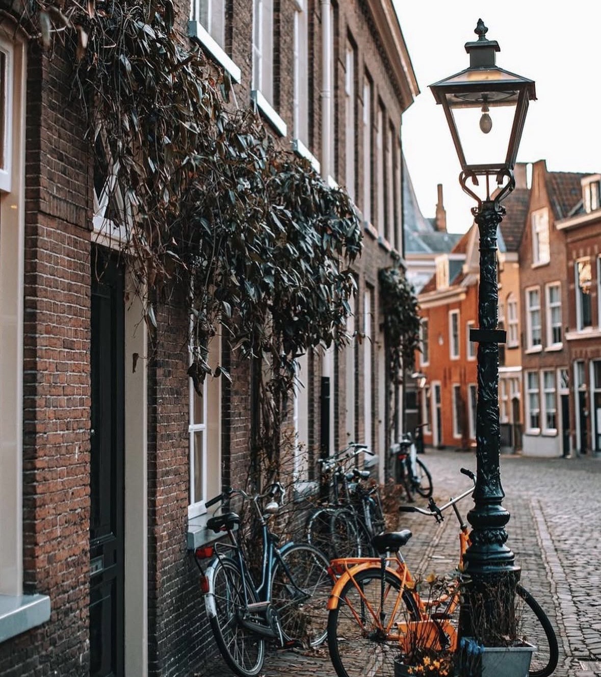 Social Tour en bici por Vondelpark