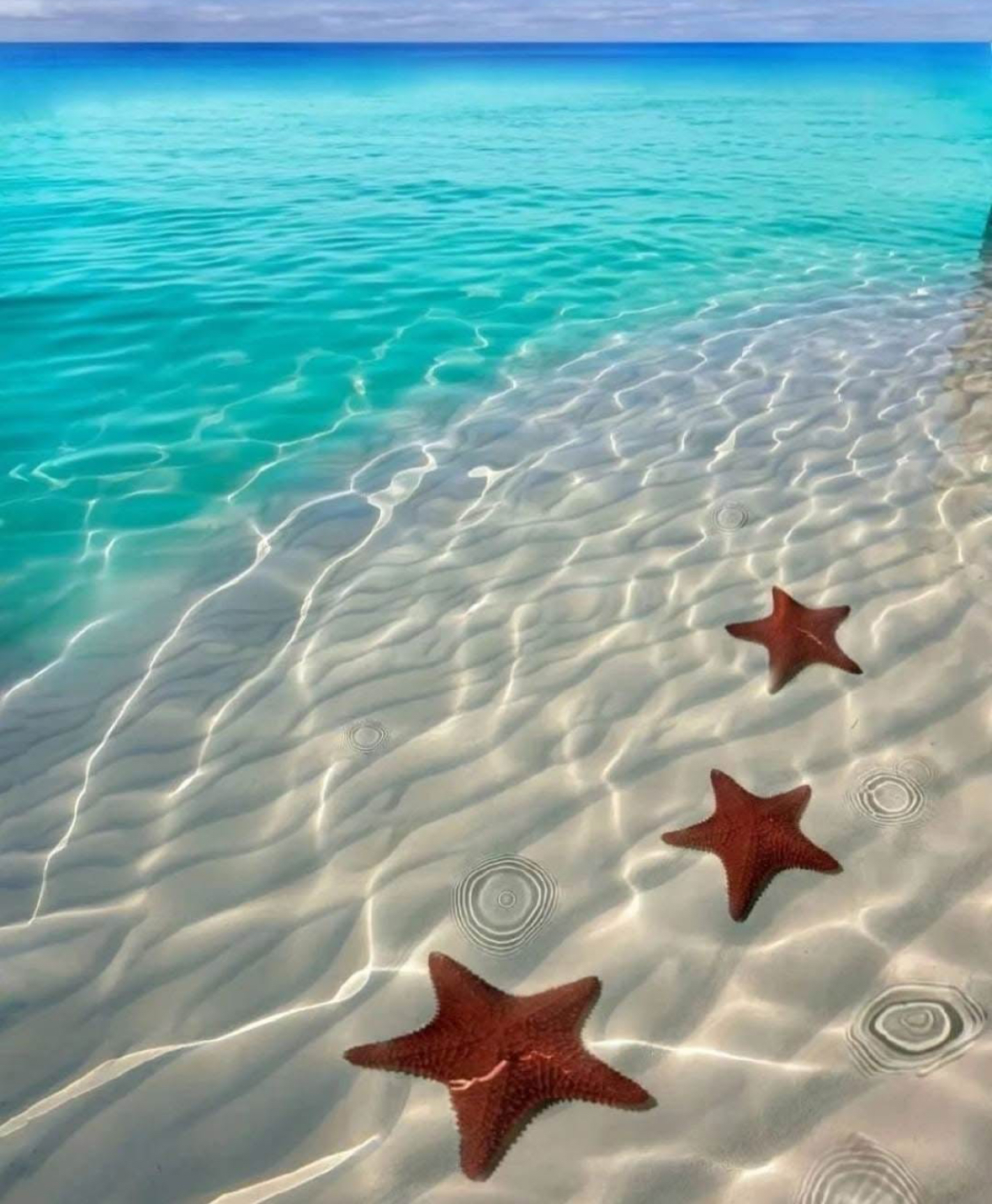 Place Bahamas