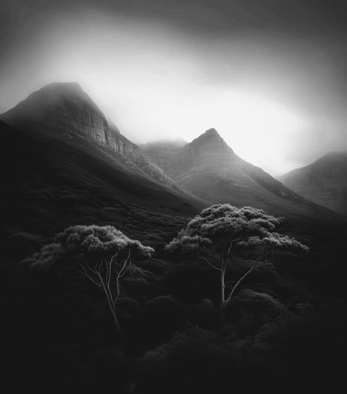 Place Table Mountain National Park