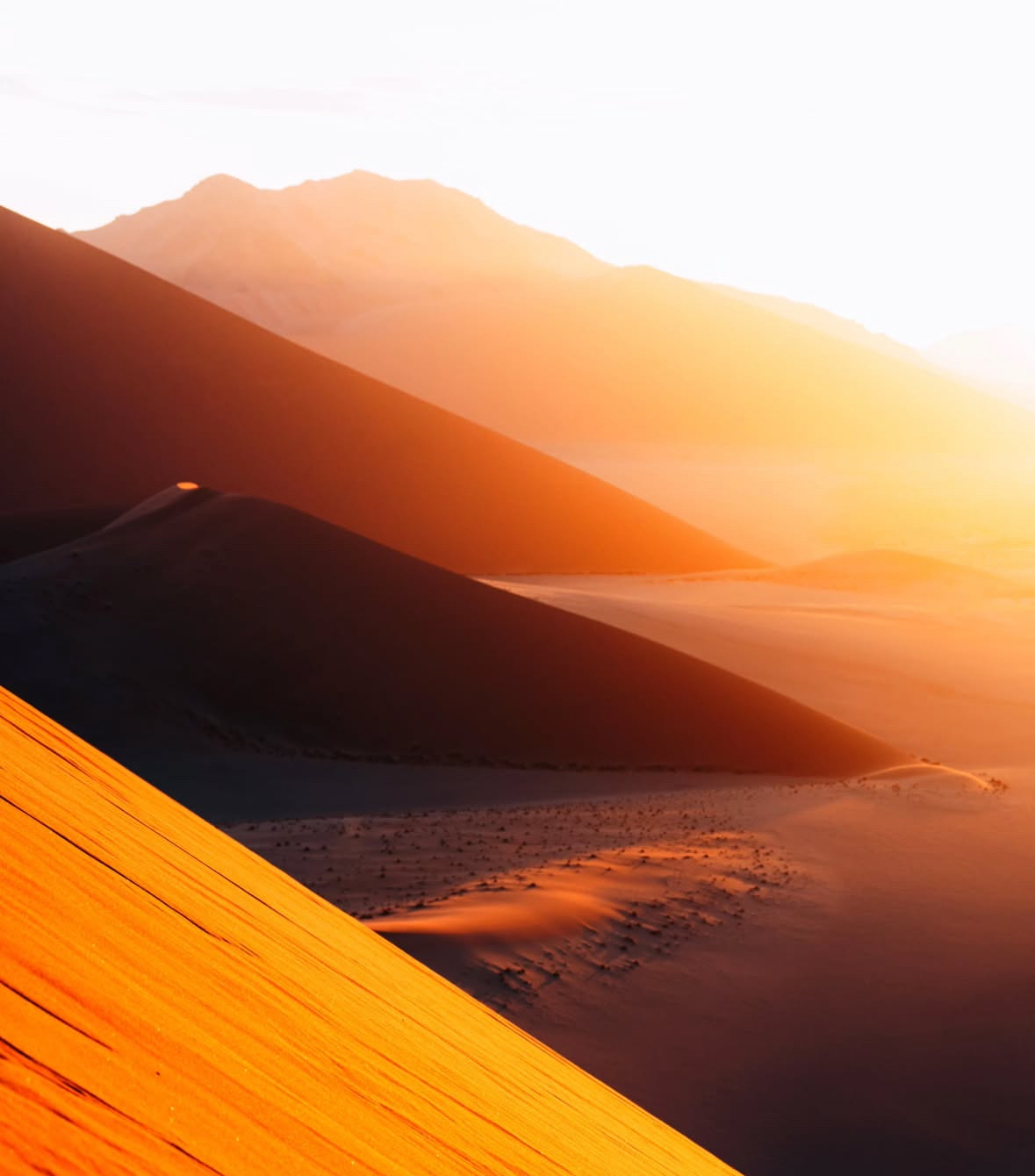 Place Sombras en las dunas