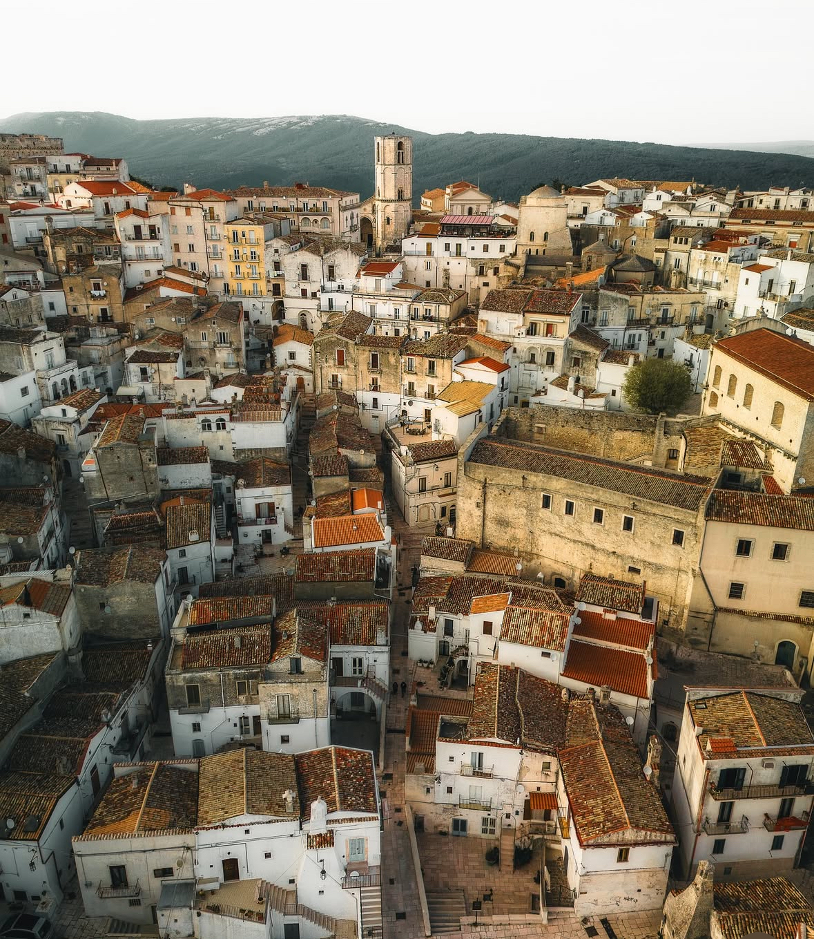 Place Sabores entre nubes