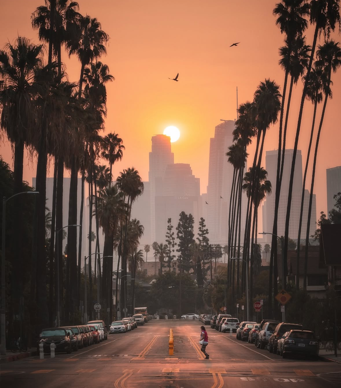 Place Calles de Echo Park