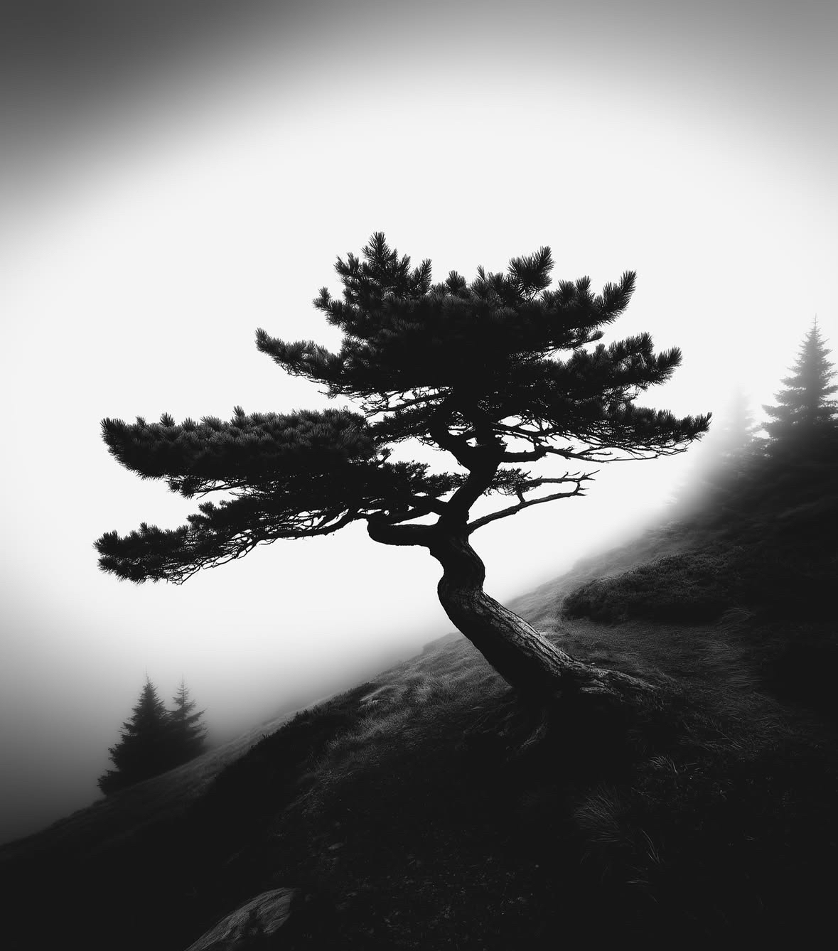 Place Naturaleza impactante