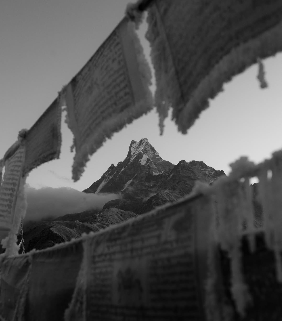 Social Aurora