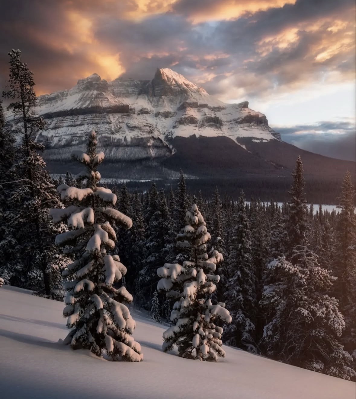 Social Senderos salvajes canadienses