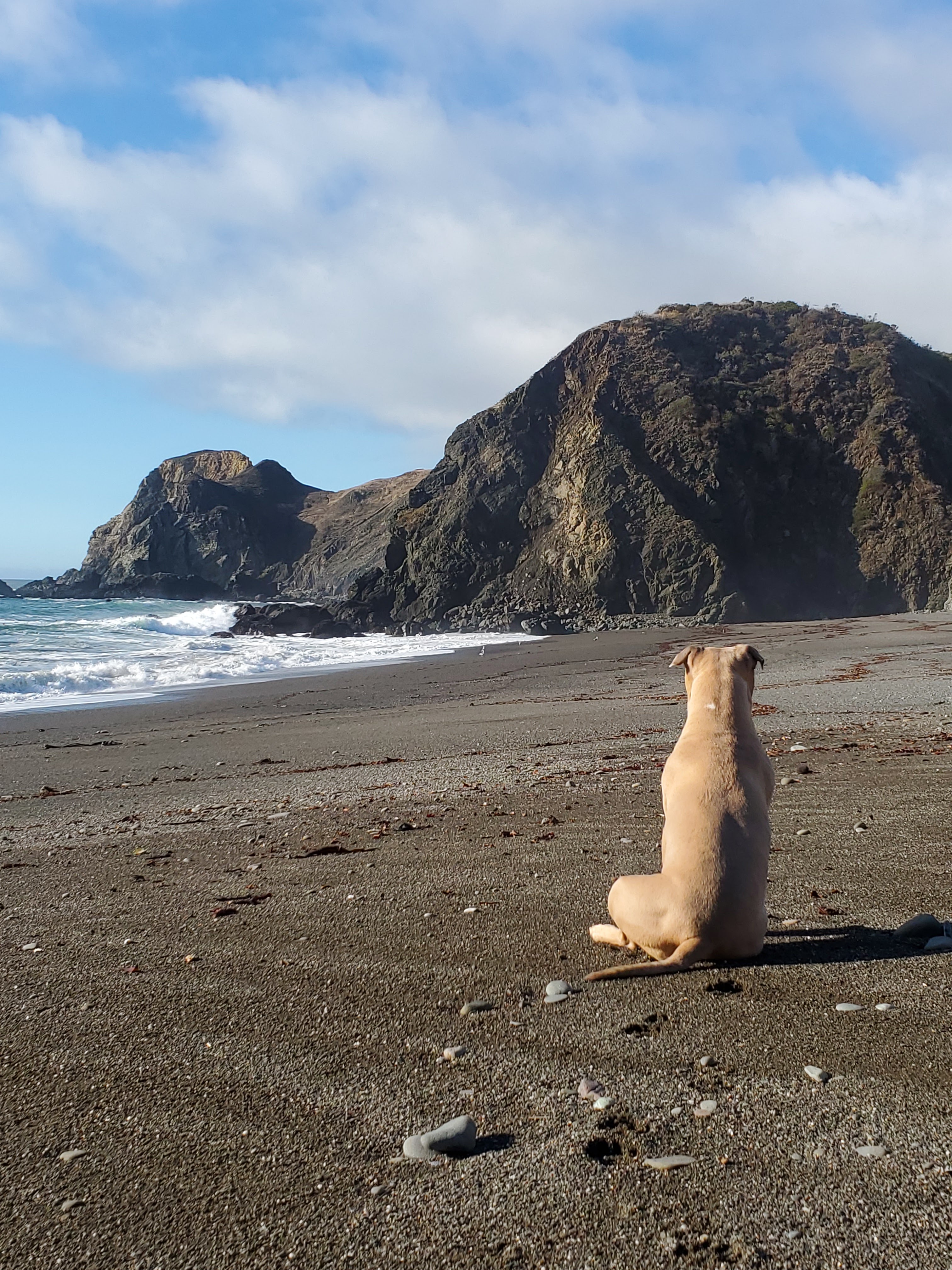 Place Russian Gulch State Beach