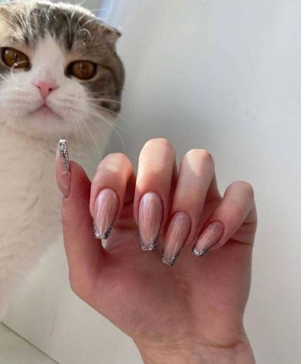 Nails cat