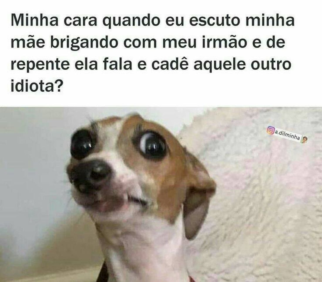 Social memes