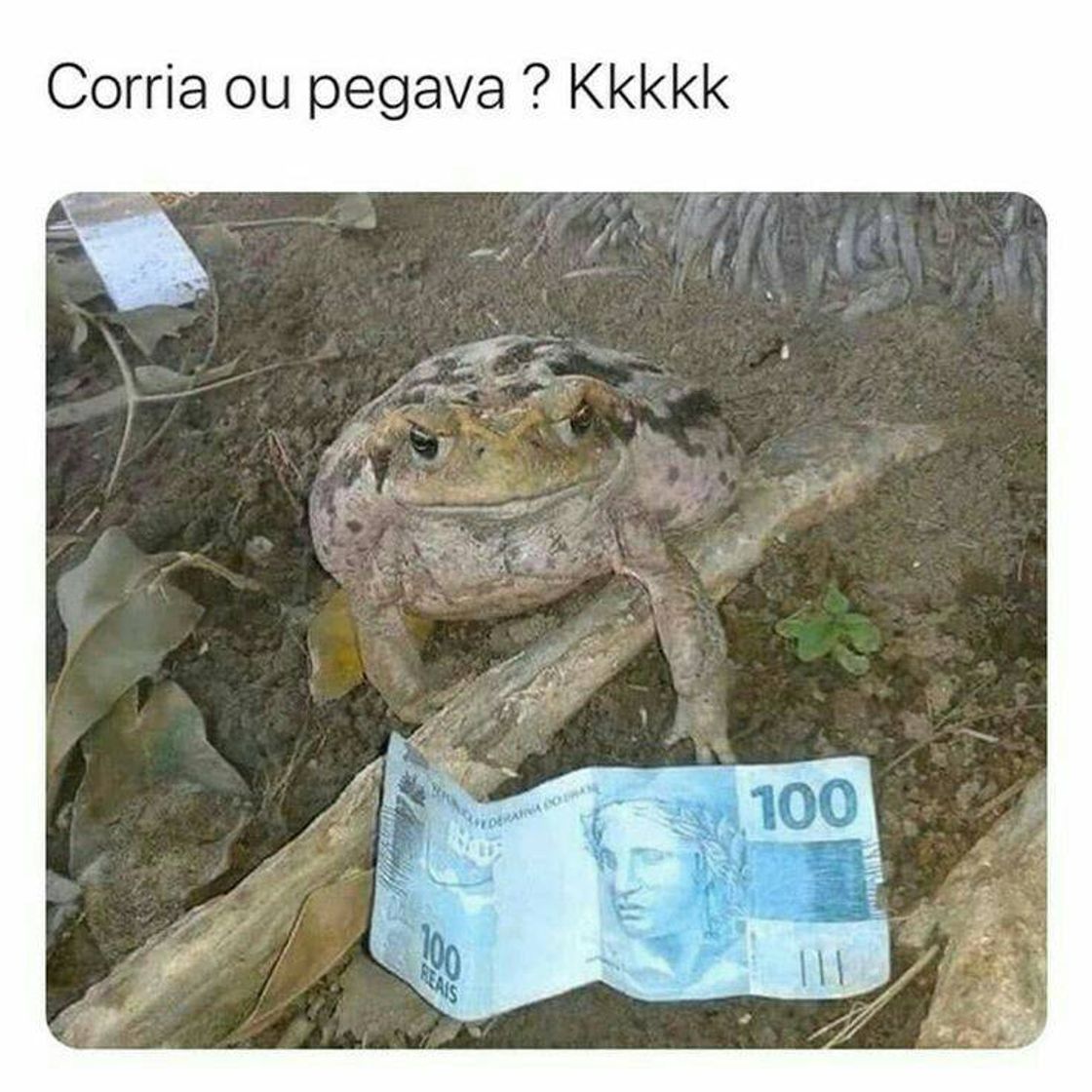 Social memes