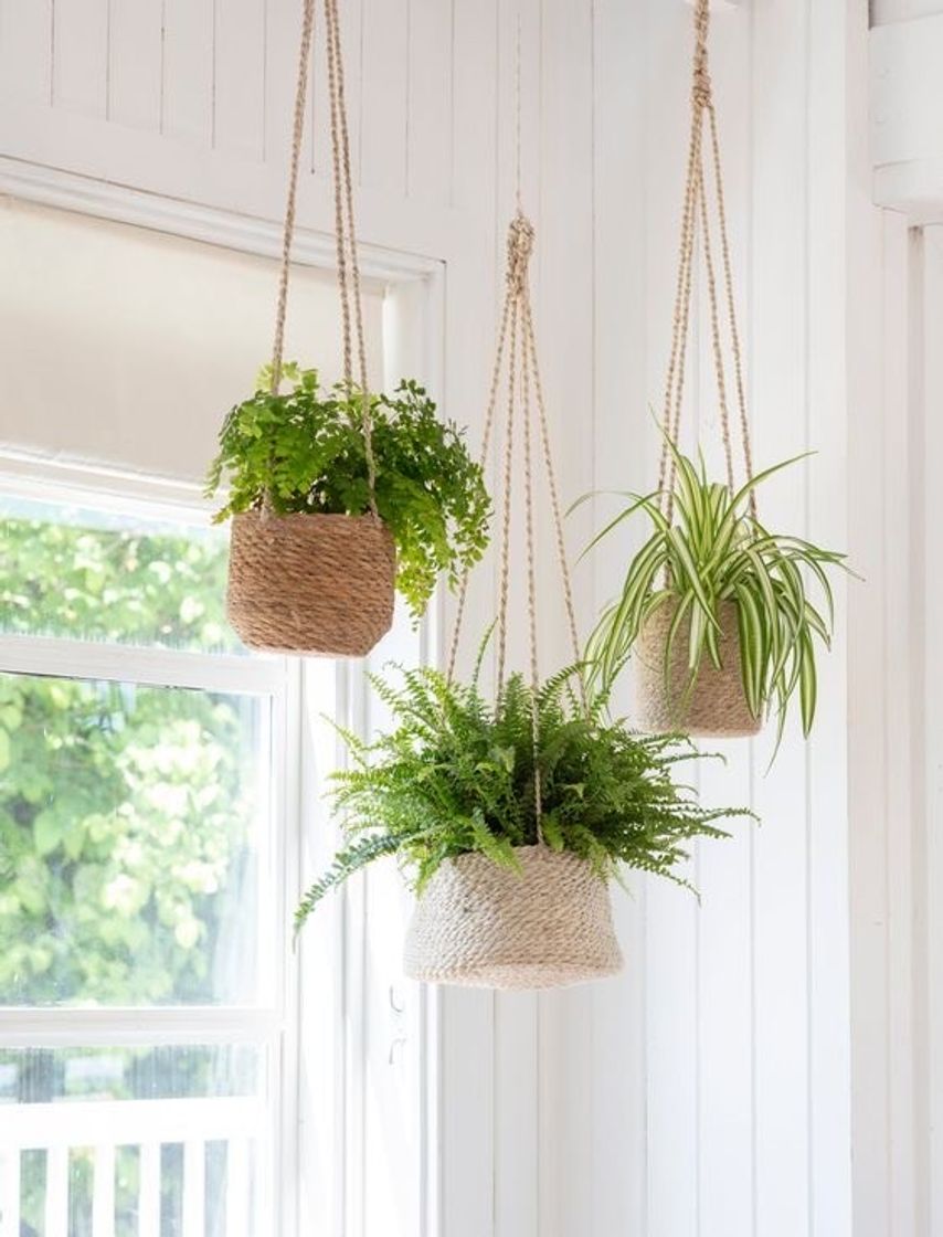 Fashion decoração com plantas 