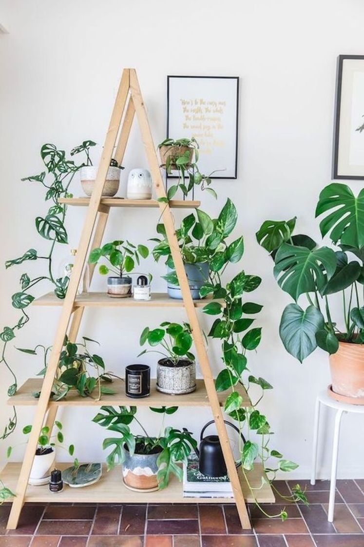 Fashion decoração com plantas 