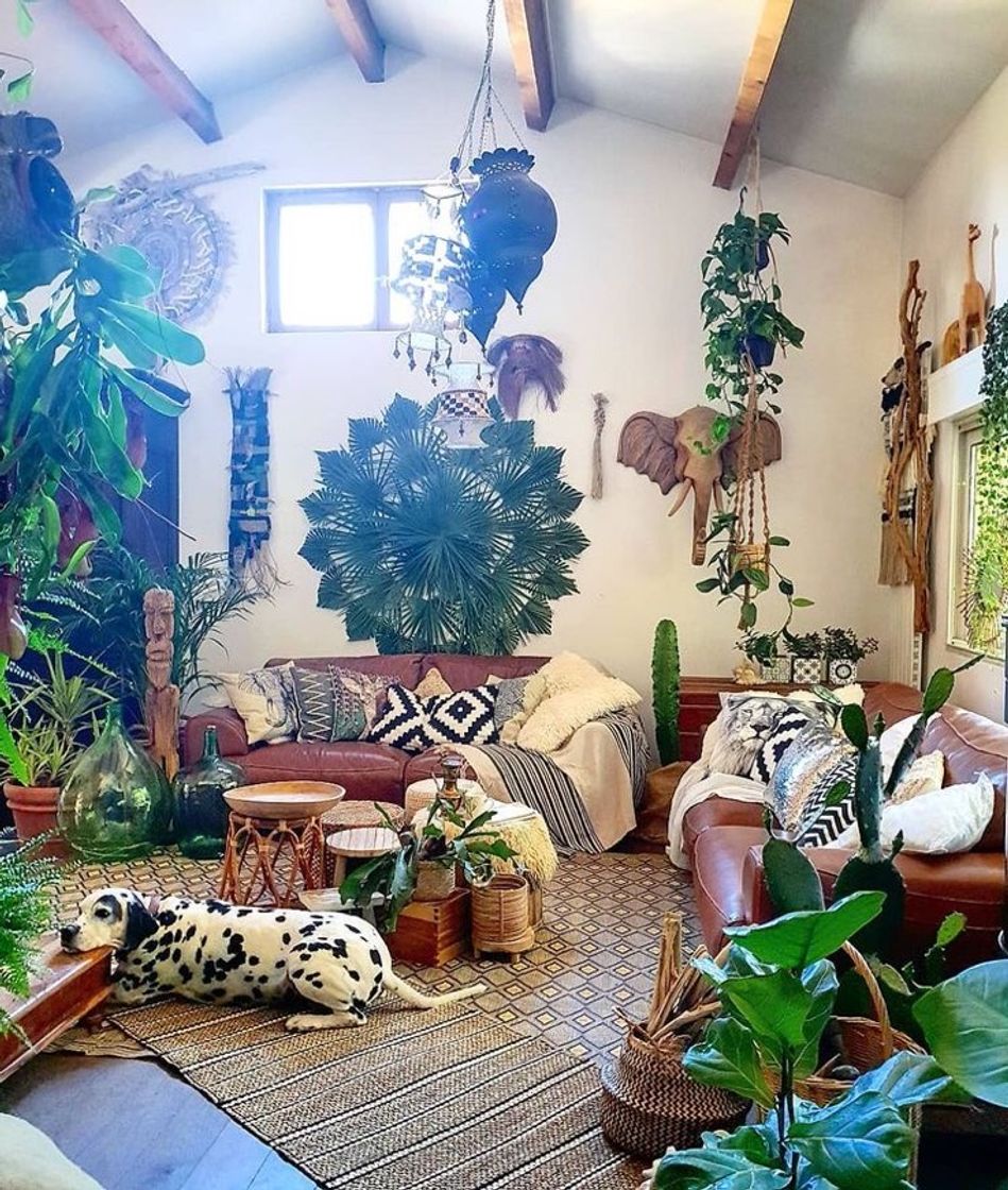 Fashion quartos com plantas 