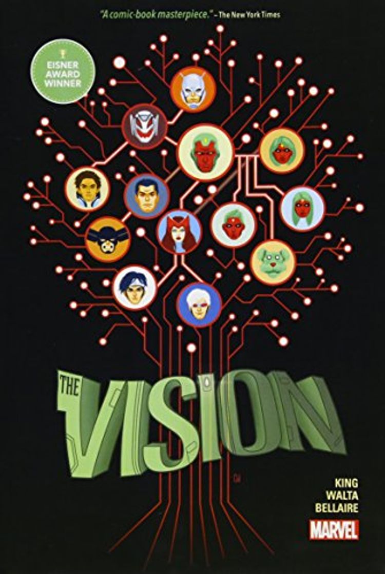 Libro The vision