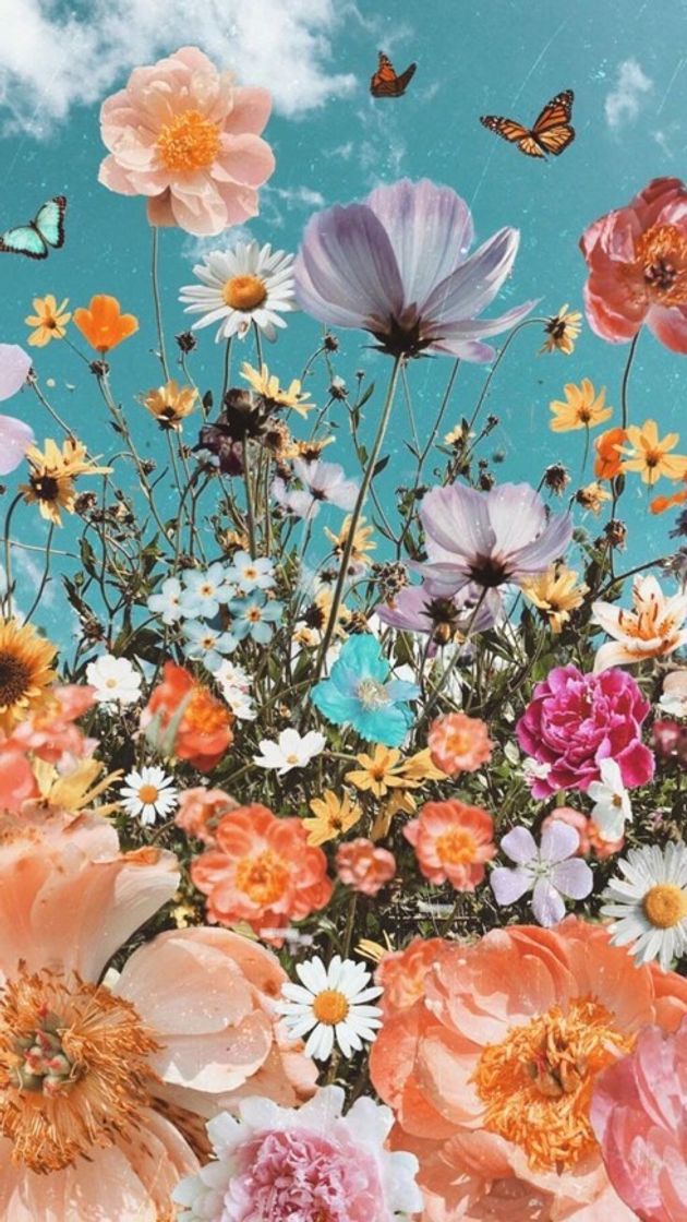Social wallpaper floral🌺