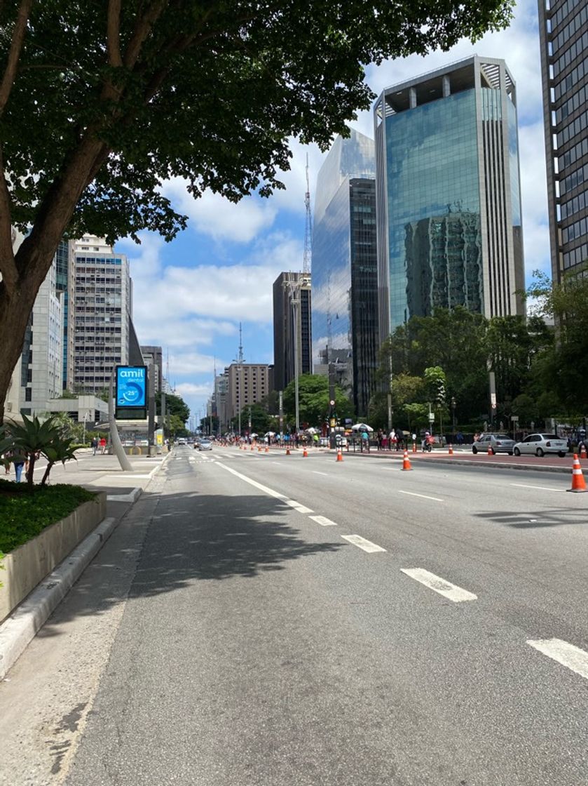Place Avenida Paulista