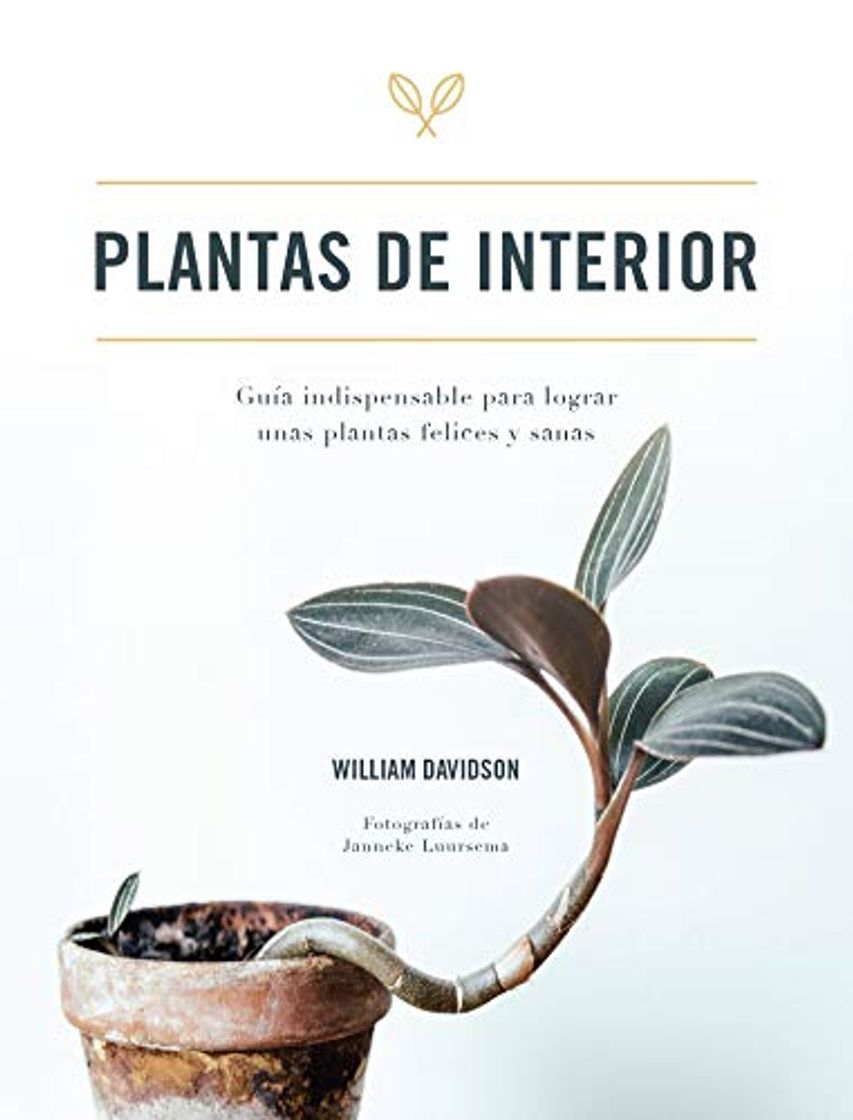 Book Plantas de interior