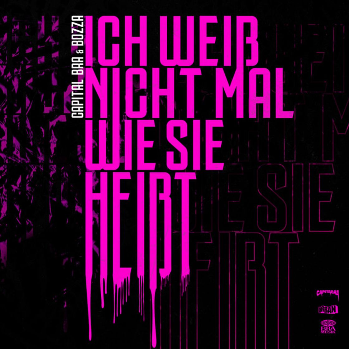 Canción Ich weiß nicht mal wie sie heißt