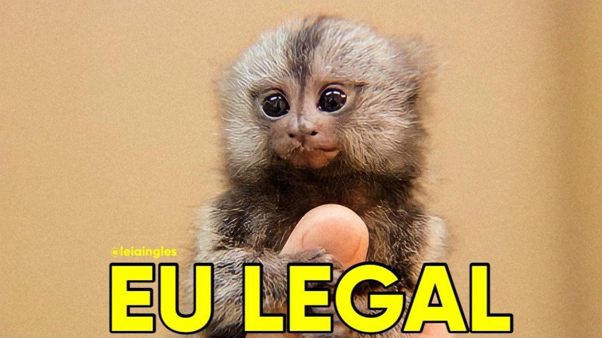 Social Leia em inglês