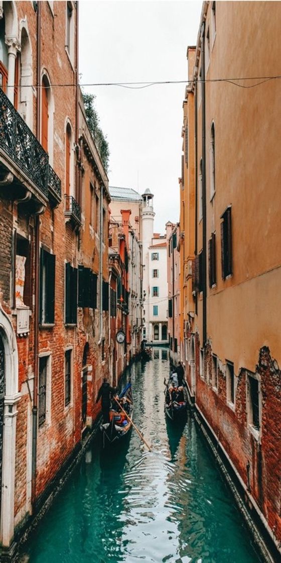 Social Veneza