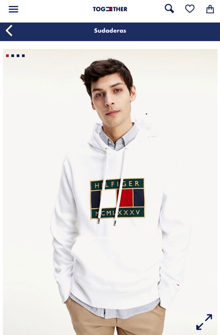 Fashion Sudadera Tommy Icons con capucha y logo bordado