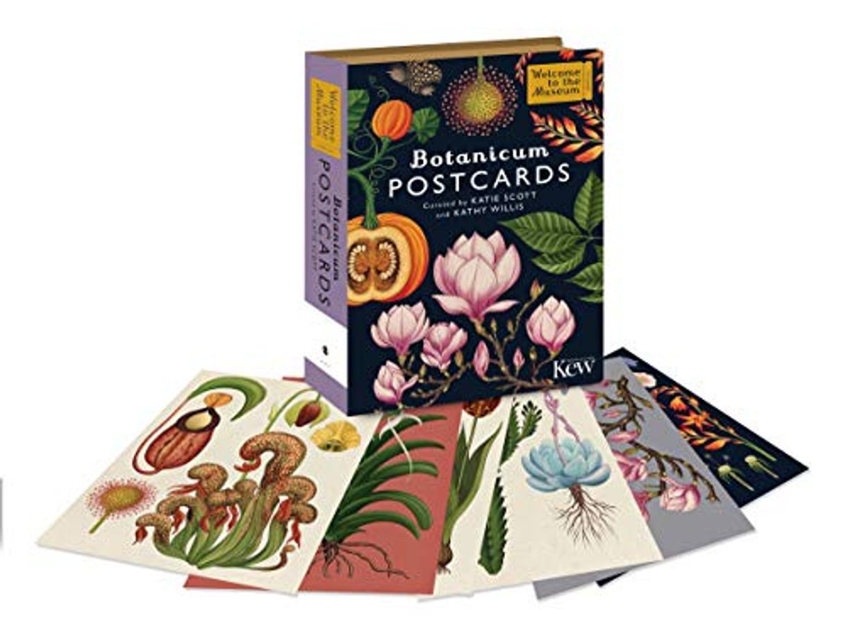 Libro Botanicum postcards