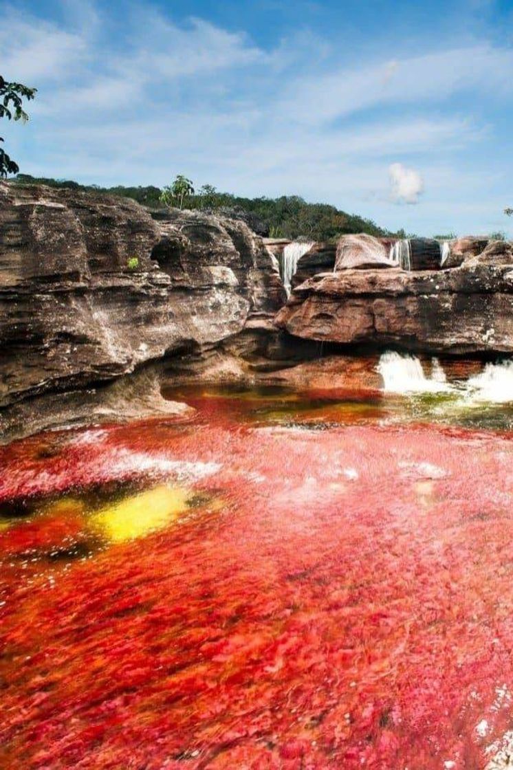 Lugar Colombia