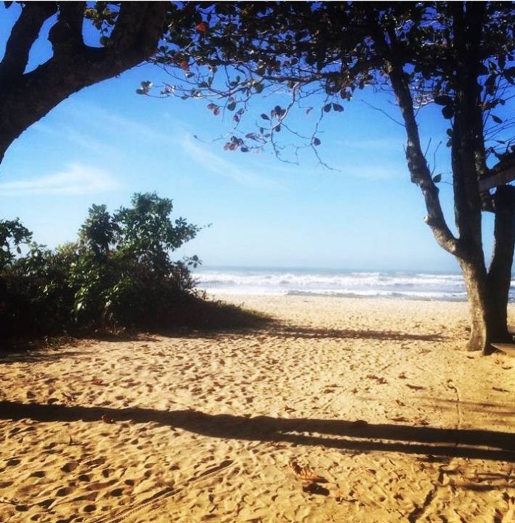 Place Ubatuba