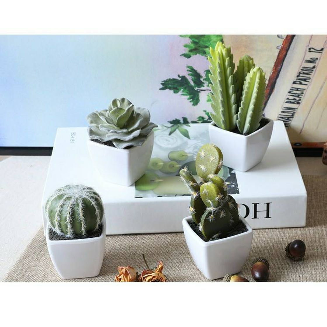 Producto Mini vaso com mini planta 