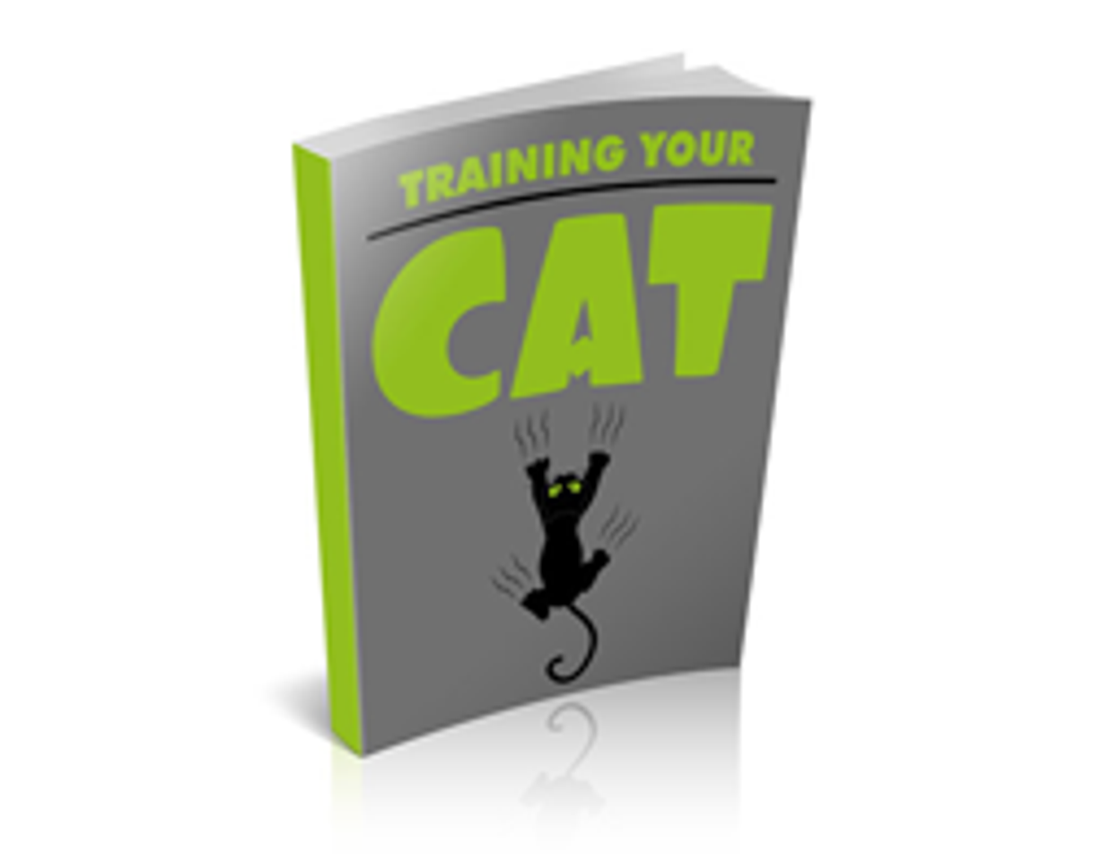 Books Training your cat  