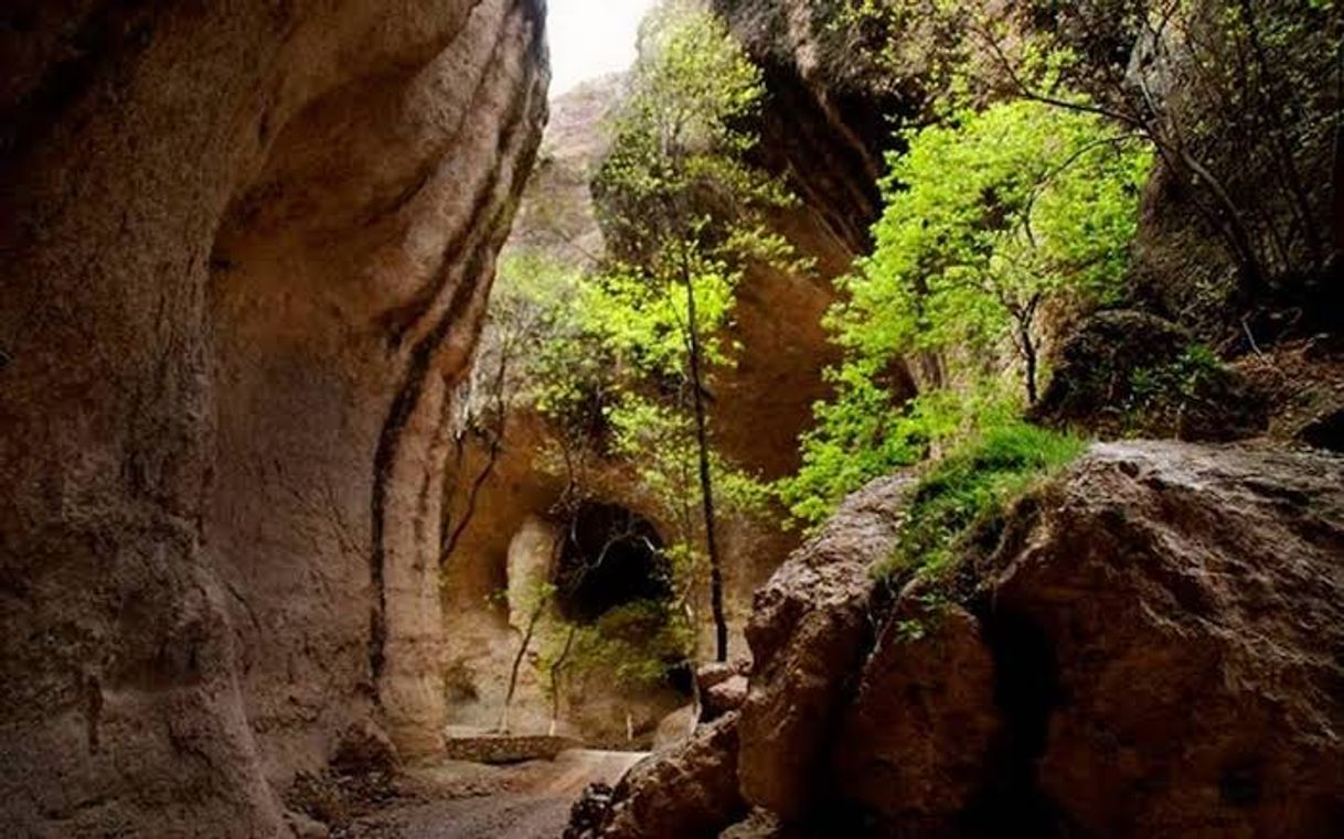 Lugares Cañon de Namurachi