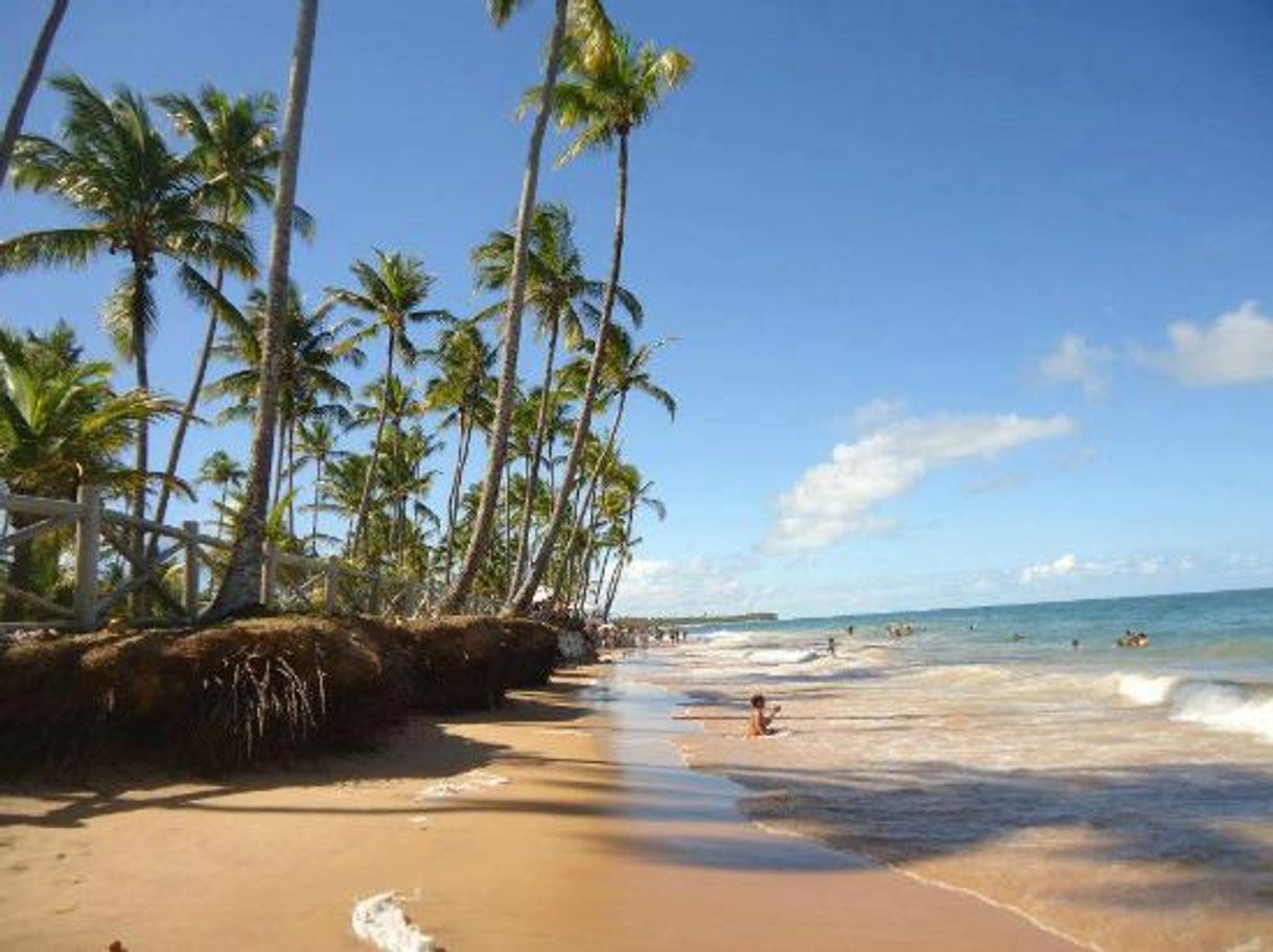 Lugar Taipu de Fora - Barra Grande