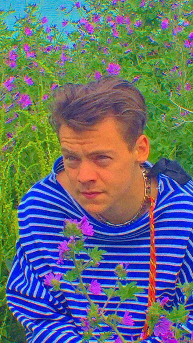 Social wallpaper Harry.S