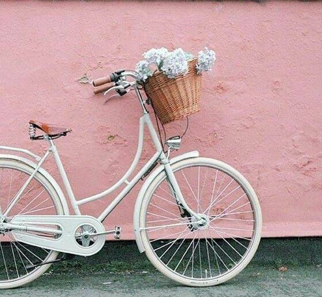 Moda Bicicleta 🌸