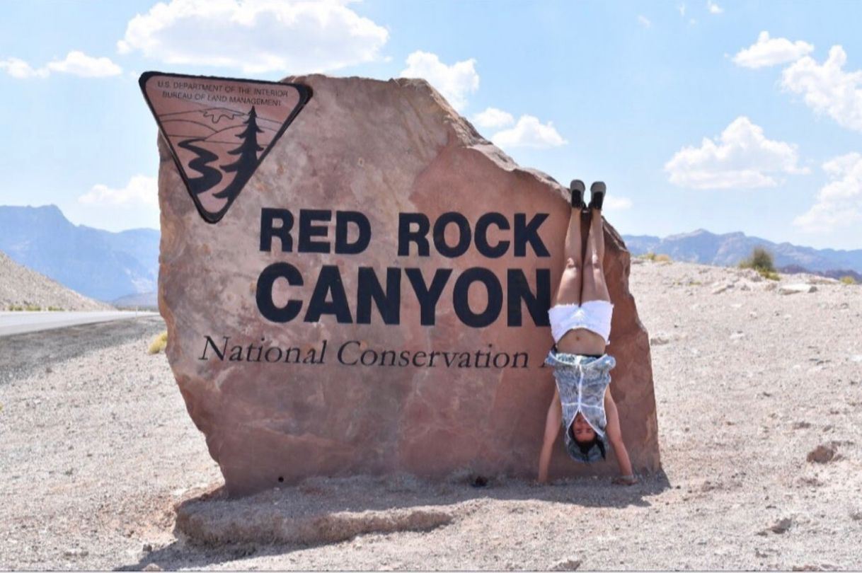 Place Área de conservación nacional Red Rock Canyon