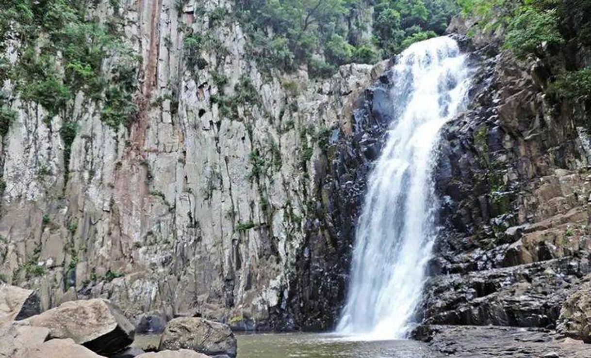 Lugar Estrada Salto das Orquídeas