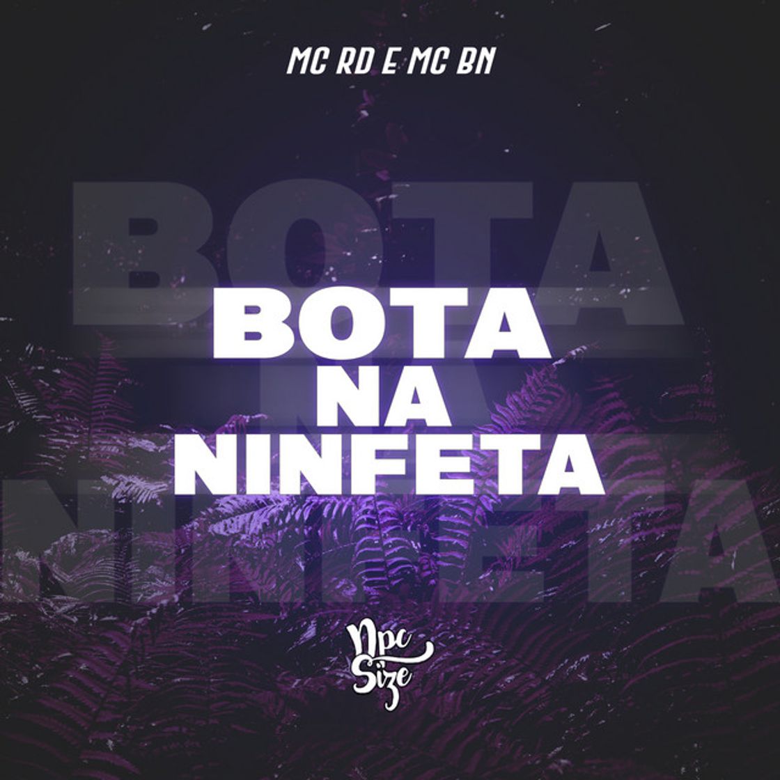 Canción Bota Na Ninfeta