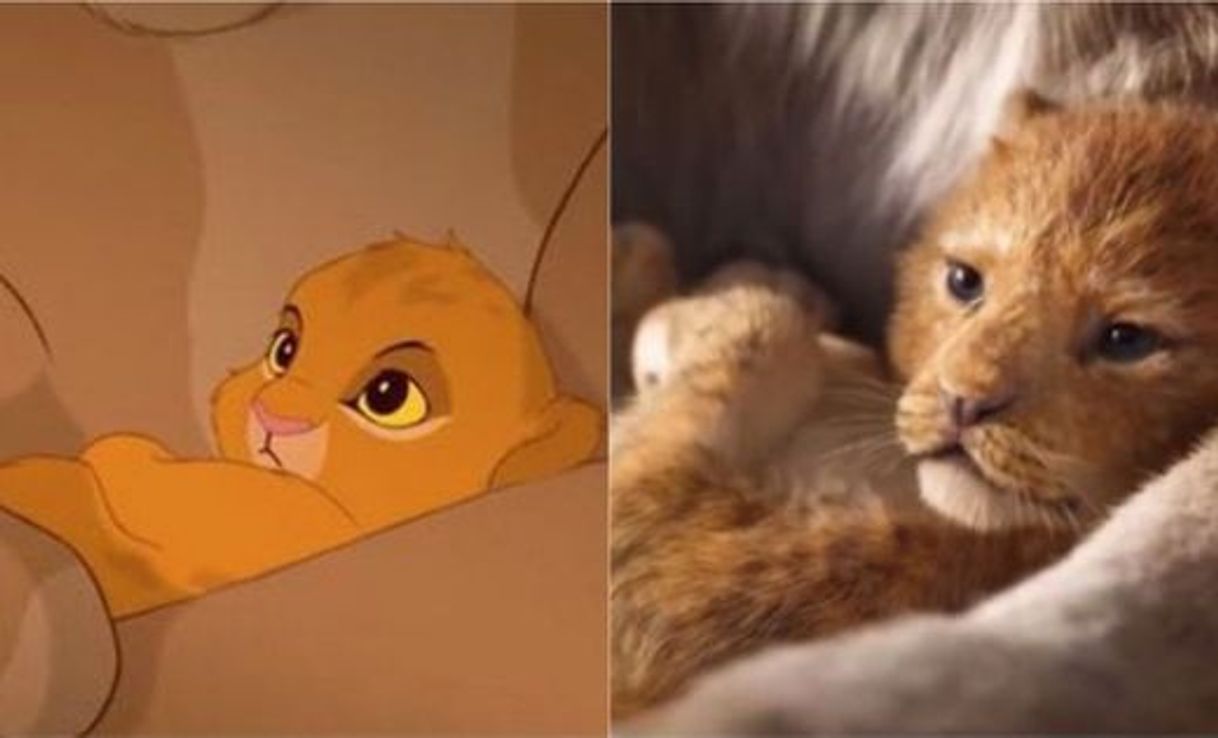 Moda Creo que puede gustarte “El Rey León” en Disney+. 

https://