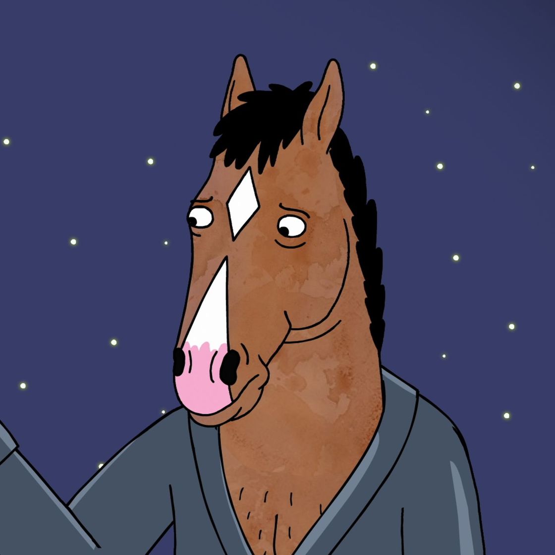 Serie Bojack horseman