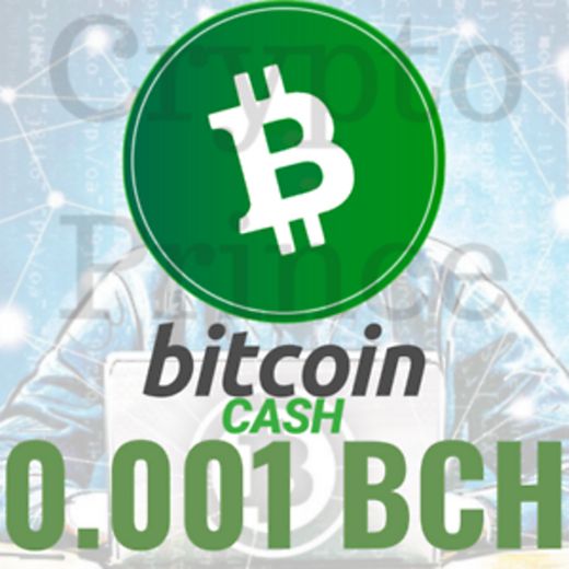 Bitcoin Casa (BCH)