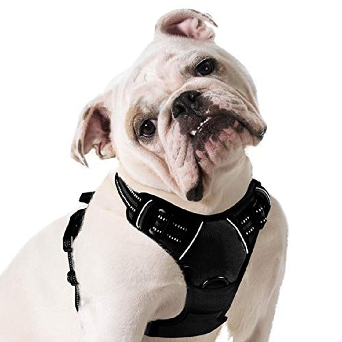 Social Eagloo Arnes de Perro Antitirones Cómodo Chaleco Ajustable Correa al Cuello y