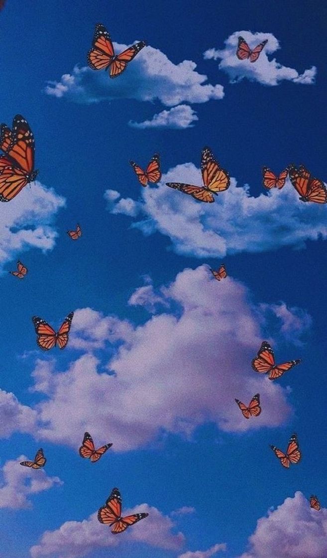 Moda Sky and butterflys 