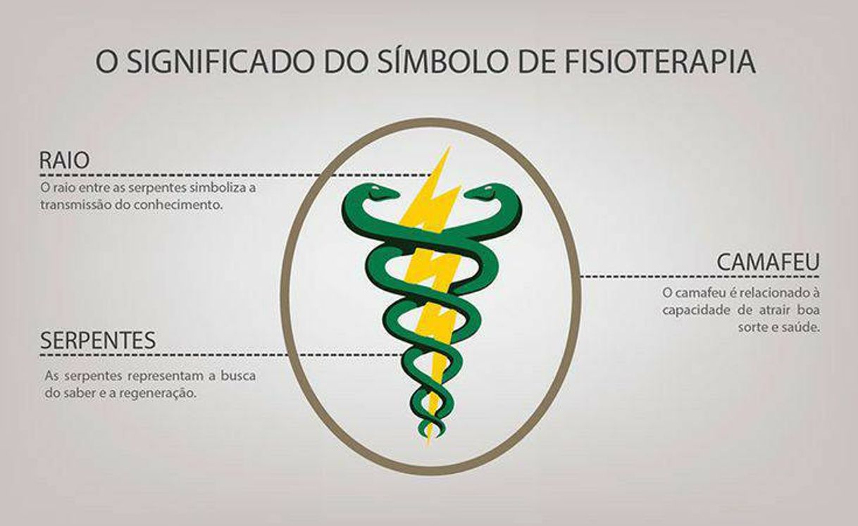 Fashion Fisioterapia - Significado de símbolo