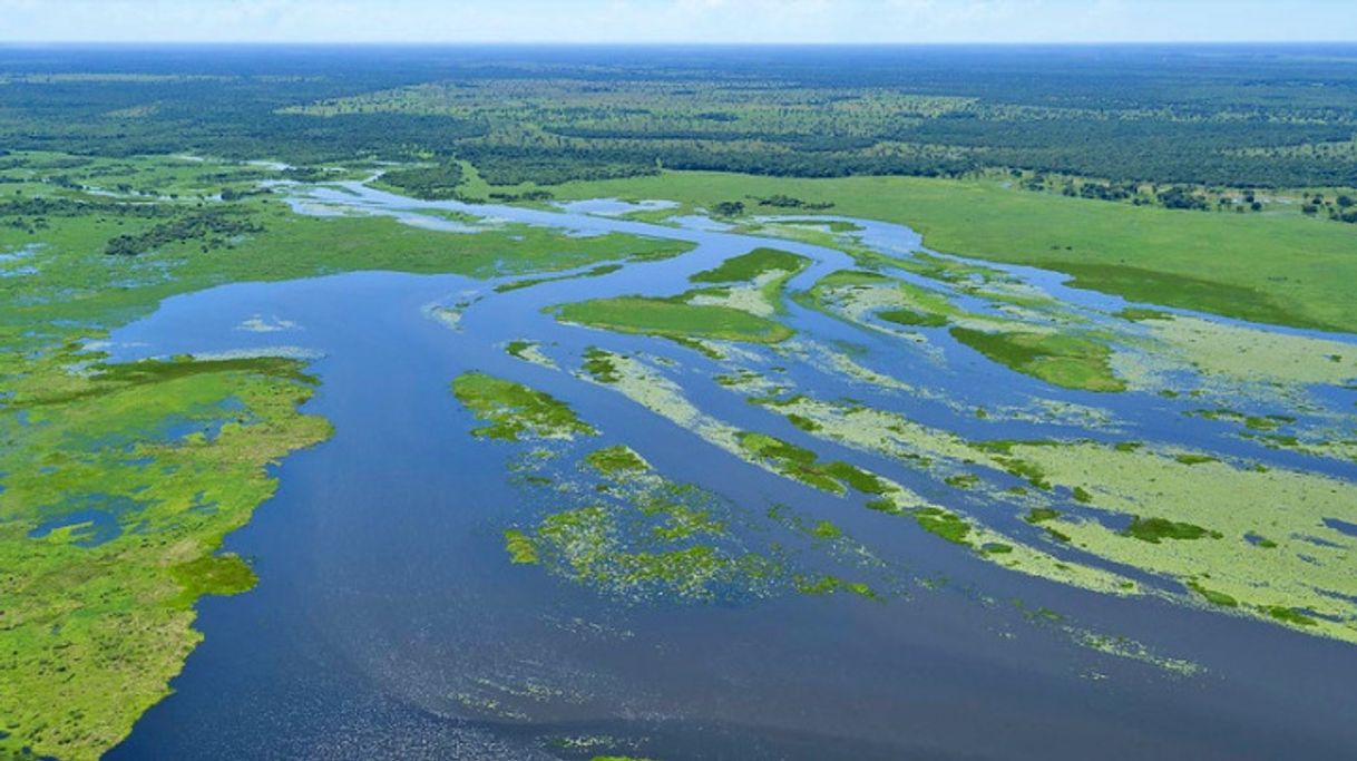 Place Pantanal