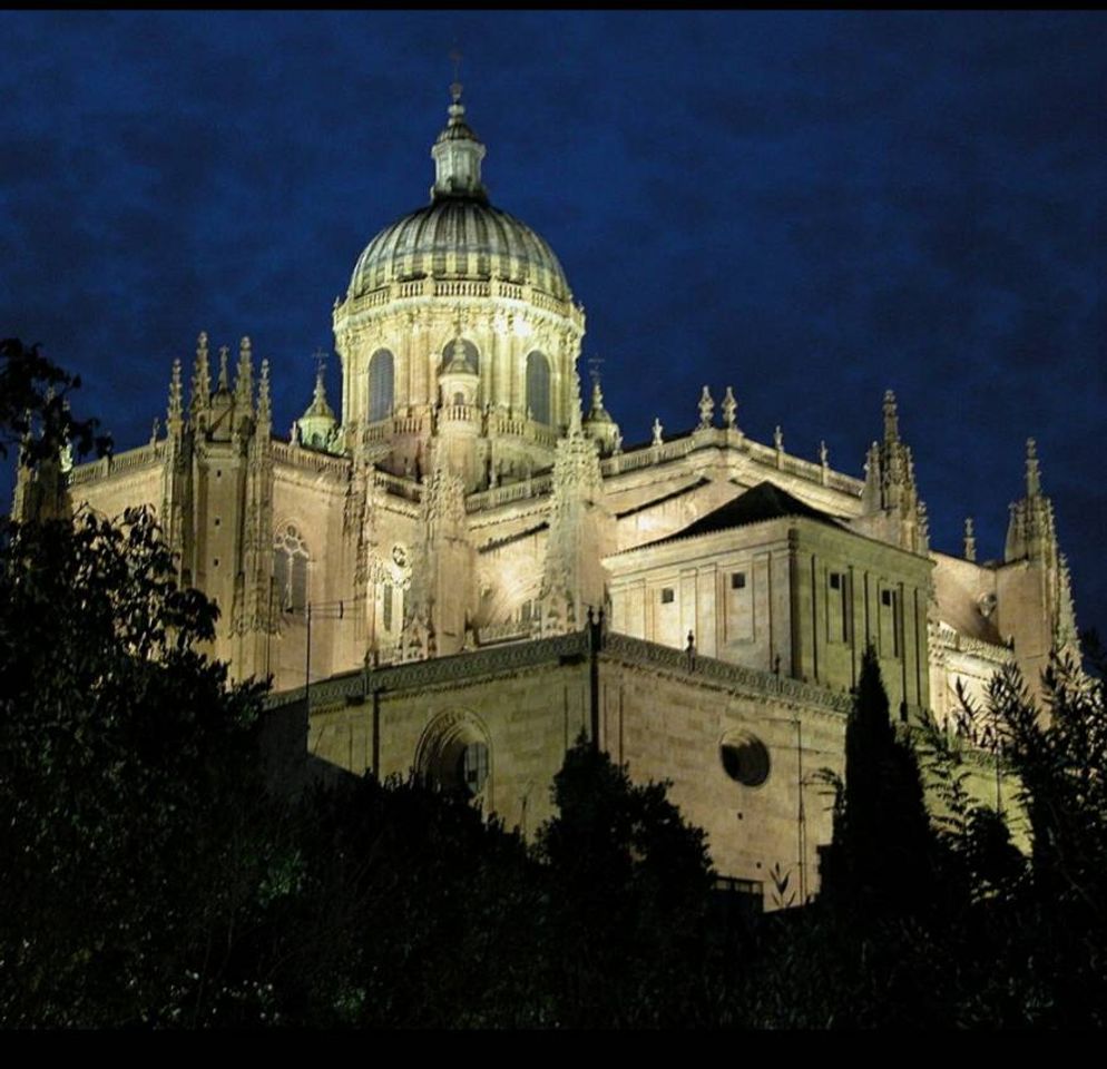 Social Salamanca 