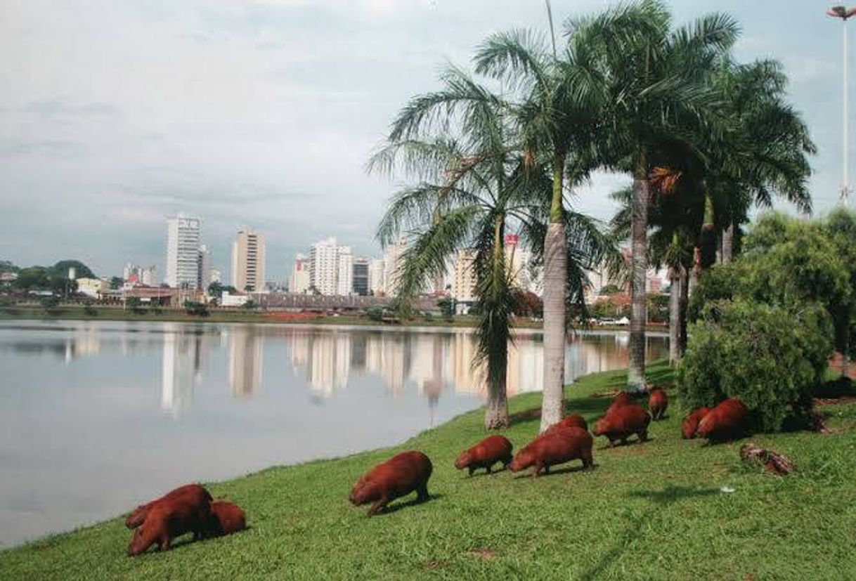 Place Represa Municipal de Rio Preto - Lago II