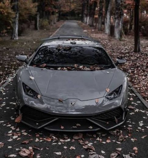 Lamborghini Aventados.