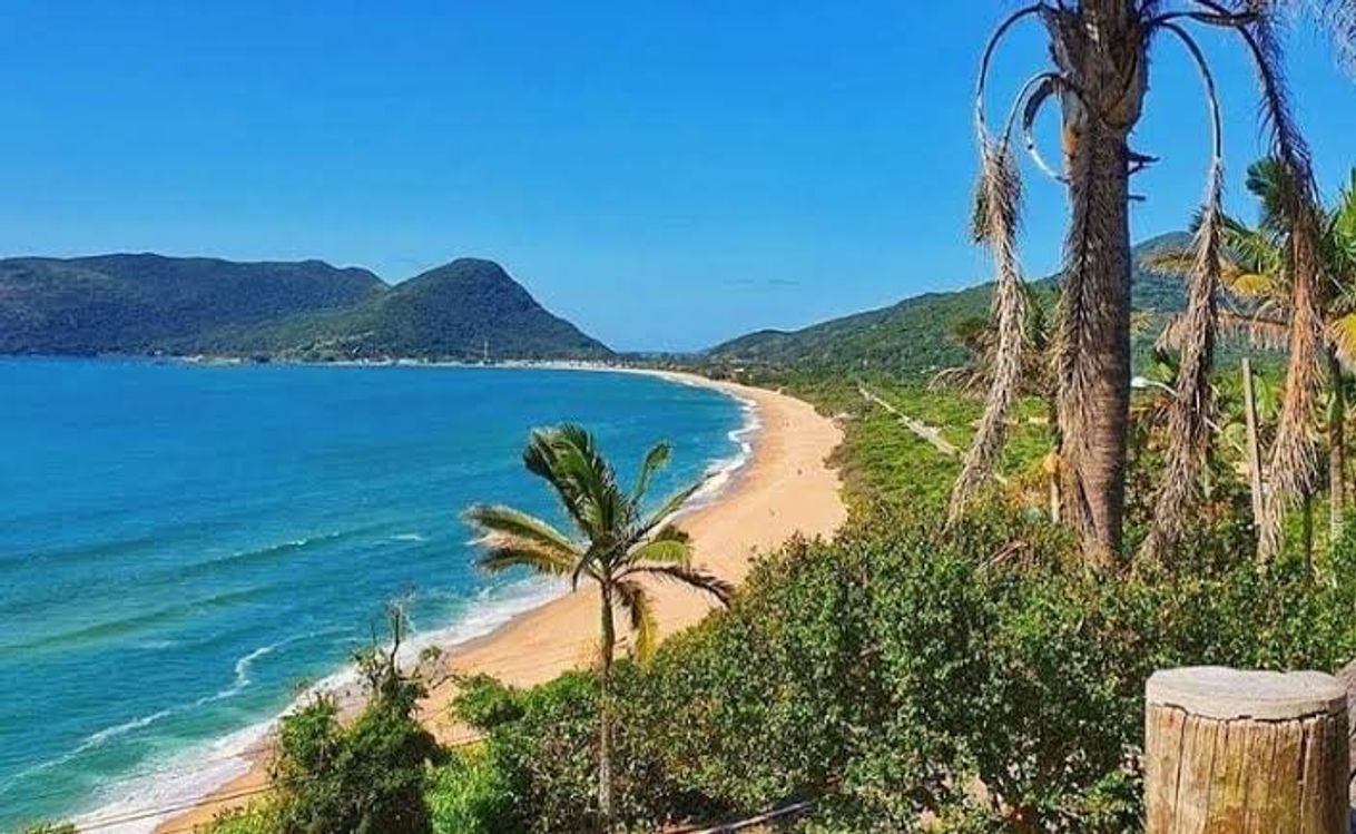 Praia da Daniela