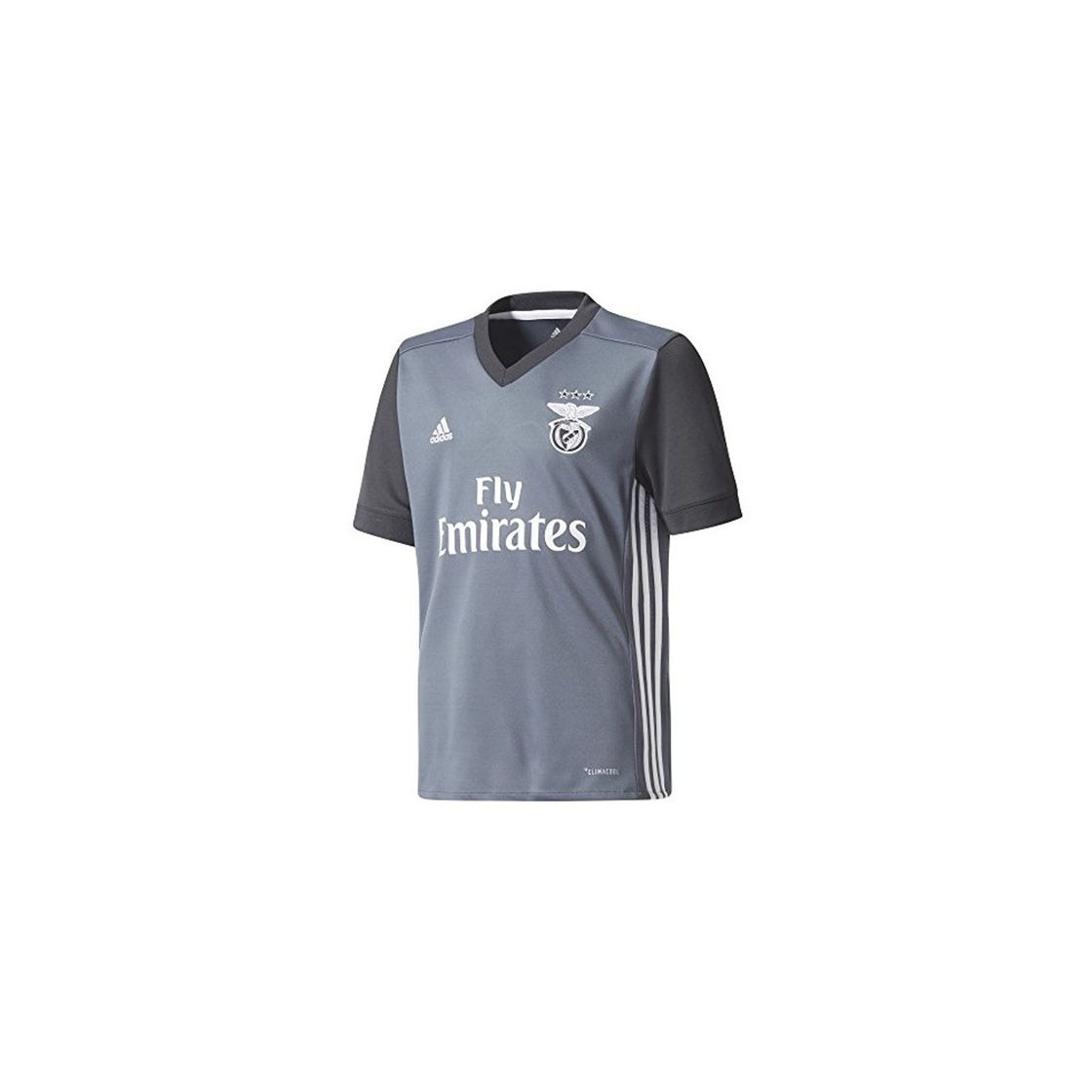 Social adidas SL Benfica Conjunto, Unisex niños, Gris