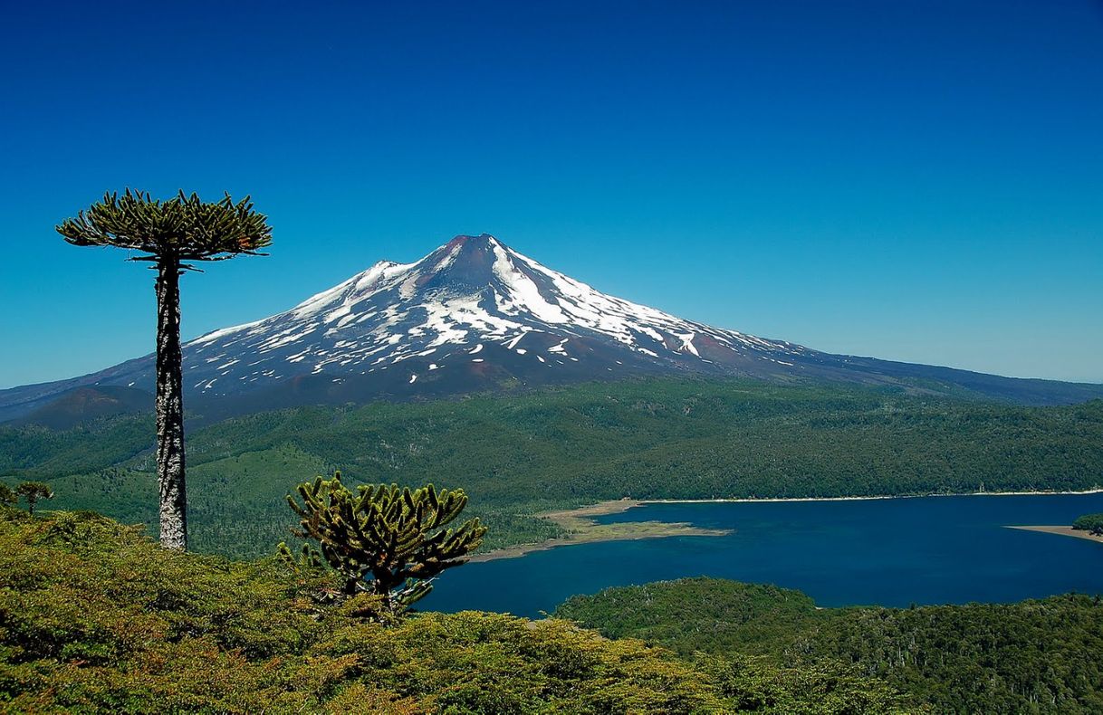 Moda Recomendaciones del parque nacional de Chile